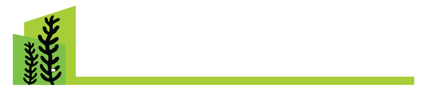 SeaLumber